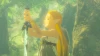 Illustration - Zelda: Breath of the Wild : Pas de Pass d'extension dans l'édition Nintendo Switch 2, ca risque de décevoir