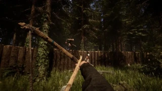 Sons of the Forest multijoueur : Combien de joueurs peuvent jouer ensemble ?