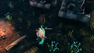Valheim : Lin, toile de lin, comment en cultiver et en fabriquer ?
