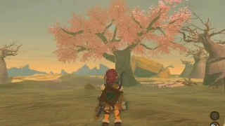 Zelda: TOTK : Les cerisiers en fleurs, leur emplacement