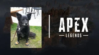 Apex legends : Des joueurs découvrent un nouvel easter egg !