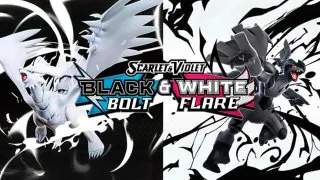 Pokémon TCG : Un imposant coffret Foudre Noire et Flamme Blanche annoncé