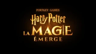 Harry Potter : La Magie Émerge : Le jeu de cartes MMORPG et free-to-play arrive cette année en France