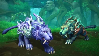 WoW Dragonflight : De nouvelles surprises concernant la personnalisation vont arriver avec la saison 3