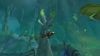 WoW : De nouvelles options de personnalisation pour vos personnages sont considérées par Blizzard