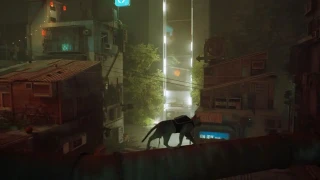Stray sortira-t-il sur Xbox One et Series ?