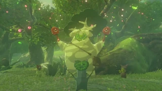 Zelda: Tears of the Kingdom : Noïa, où le trouver ?