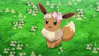 Pokémon GO : Evoli couronné de retour