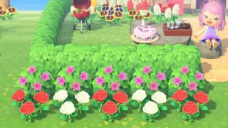 Animal Crossing: New Horizons : Tout savoir sur les buissons de Racine