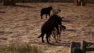 Far Cry 5 : Une des missions vous amènera au festival des testicules !