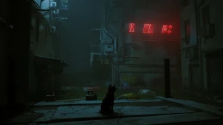 Stray : Date de sortie, gameplay, toutes les informations