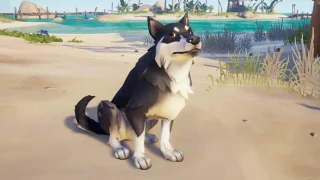 Sea of Thieves accueillera des chiens en septembre