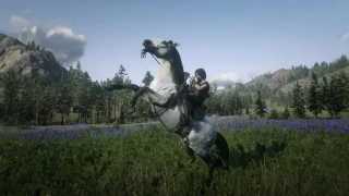 Red Dead Online : Des bonus disponibles pour les collectionneurs cette semaine