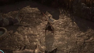 Path of Exile 2 : Quelle est la meilleure classe pour les débutants ? (Accès anticipé)