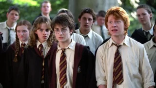 Harry Potter aurait pu avoir son MMO, mais EA n'a pas cru au projet