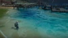 Illustration - Tarisland pêche : Comment débloquer la canne à pêche ?