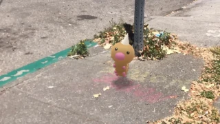 Pokémon GO : Aspicot à l'honneur pour l'heure vedette du 16 avril