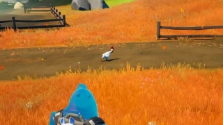 Fortnite : Animaux sauvages, les apprivoiser et leur spawn