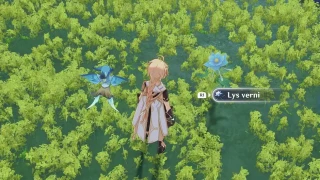 Genshin Impact : Lys verni, où et comment en obtenir ?