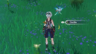 Genshin Impact : Cécilia, où et comment en obtenir ?