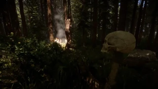 Sons of the Forest partage sa date de sortie