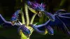 Illustration - WoW : Nouvelle victoire pour Liquid avec le World first de l'abîme Venimeux
