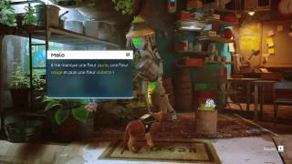 Stray : Les fleurs de Malo, où les trouver ?
