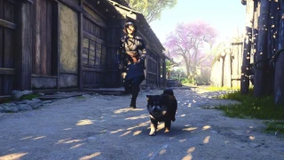 Assassin's Creed Shadows : Les animaux de compagnie, comment en débloquer et à quoi servent-ils ?