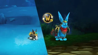 WoW : Le lapin d'eau mis à l'honneur à l'occasion du Nouvel An chinois