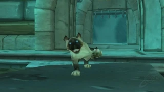 WoW MoP : Mr. Bigglesworth, comment obtenir cette mascotte ?