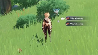 Genshin Impact : Viande crue, où et comment en trouver ?