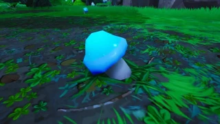 Consommer des champignons, Défi Choc des mondes, Saison 10