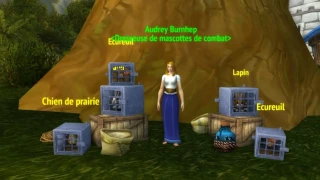 World of Warcraft : Une mascotte sur le thème de Diablo a été découverte