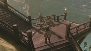 Zelda: Tears of the Kingdom : L'oiseau blanc et la grotte, comment terminer la quête ?