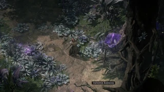 Path of Exile 2 est-il cross-play et cross-progression ?