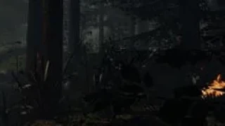 The Forest - Réglage des touches