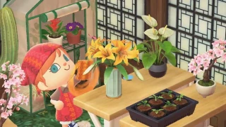 Animal Crossing: New Horizons annonce  le DLC Happy Home Paradise
