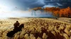 Illustration - Ghost of Tsushima signe le meilleur lancement d'un jeu Sony sur Steam, malgré son absence dans plusieurs pays