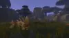 Illustration - WoW Forever : Instances connues et zones inexplorées, Blizzard donne quelques pistes sur le futur de Classic+
