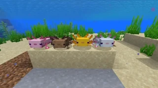 Minecraft : Le nouveau Snapshot présente les axolotls et apporte des modifications