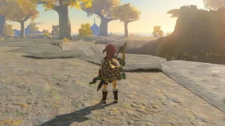 Zelda: Tears of the Kingdom : Vœux des Sages, à quoi servent-ils et où en trouver ?