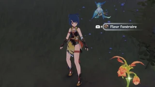 Genshin Impact : Fleur funéraire, où et comment en obtenir ?