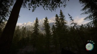 Sons of the Forest sortira-t-il sur PS4 ou PS5 ?