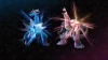 Pokémon Diamant Étincelant ou Pokémon Perle Scintillante : Quelle version choisir ?