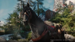 The Witcher 4 : CD Projekt RED nous montrera de nombreuses facettes de Ciri