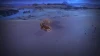Dune: Spice Wars : Heure de sortie en France