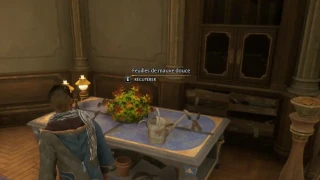 Hogwarts Legacy : Feuilles de mauve douce, comment en avoir ?