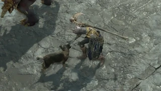 Diablo 4 : 3 nouveaux familiers devraient être ajoutés en saison 9
