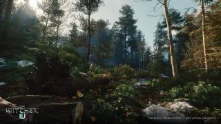 The Witcher : La nouvelle trilogie avec Ciri sortira en très peu de temps
