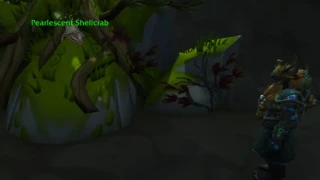 WoW : Où trouver des Caracrabes perlescents pour débloquer le Trésor de l'arbre et le Médaillon de Hanna ?